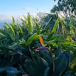 Apartamento Onda - Boutique Garden Ocean View In The Countryside - *