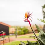 Onda - Boutique Garden Ocean View In The Countryside -