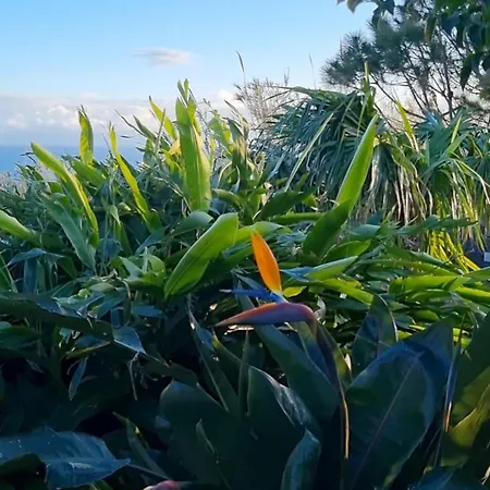 公寓 Onda - Boutique Garden Ocean View In The Countryside - *