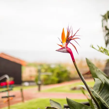 Onda - Boutique Garden Ocean View In The Countryside -