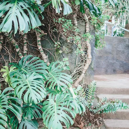 Onda - Rural In The Countryside Of Sao Miguel * Pilar